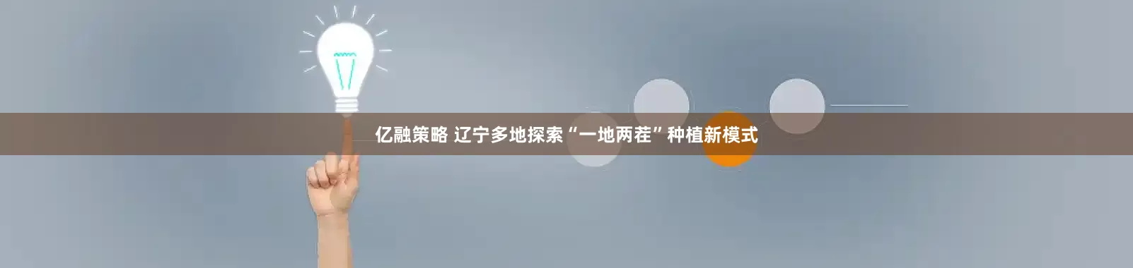 亿融策略 辽宁多地探索“一地两茬”种植新模式