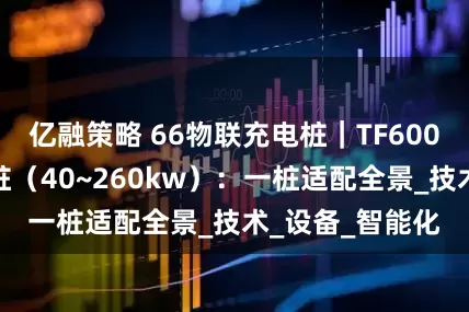 亿融策略 66物联充电桩｜TF600系列直流充电桩（40~260kw）：一桩适配全景_技术_设备_智能化